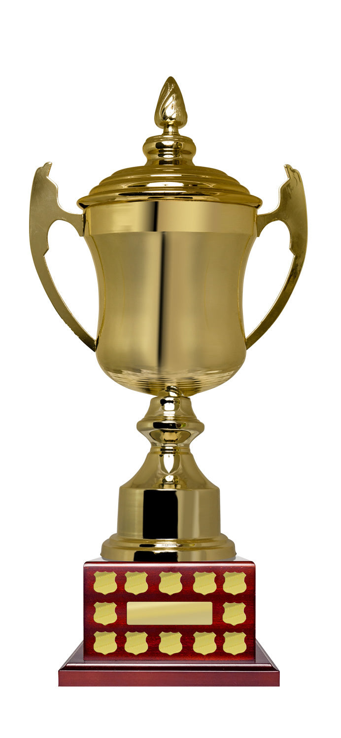 Higher End Perineum Cup on Perpetual Base