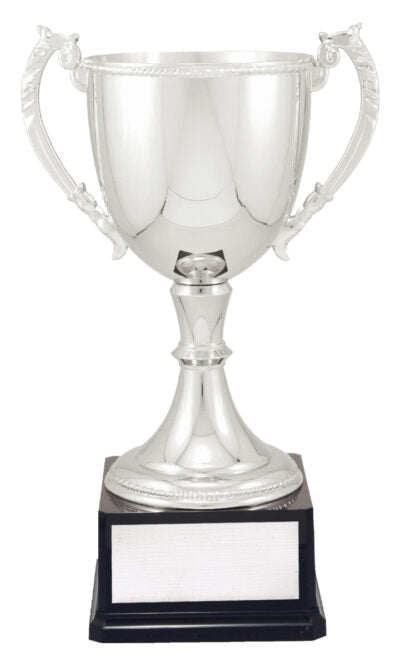 Nickle Plated Gold and Silver Cup