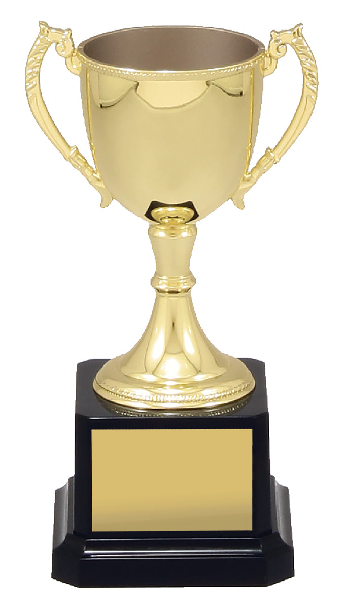 Nickle Plated Gold and Silver Cup